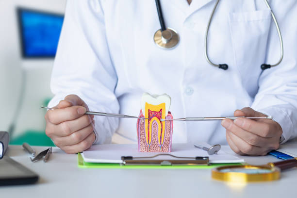 Best Cosmetic Emergency Dentistry in Ceresco, NE